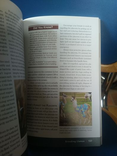Llamas and Alpacas book