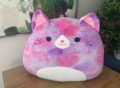 Huge squishmallow