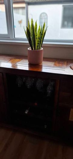 Beautiful piece artificial plant pristine condition