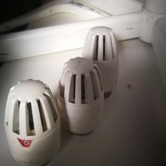 TRV heads