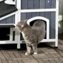 Wooden Cat House 2-Floor Outdoor Kitten Shelter with Window Grey Image 7