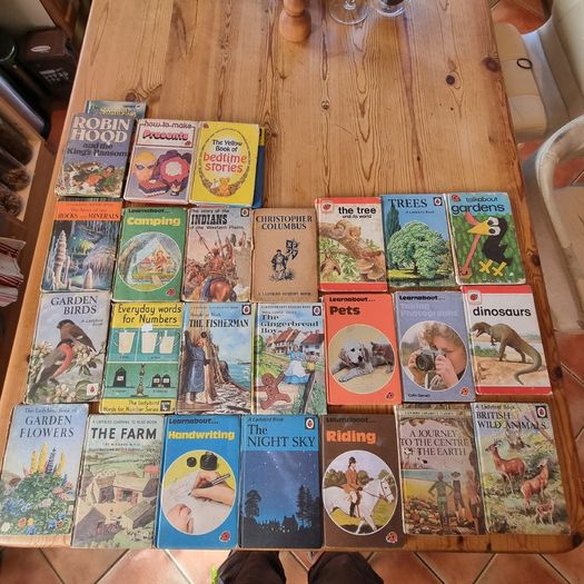 Old ladybird books