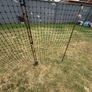 chicken fencing Image 3