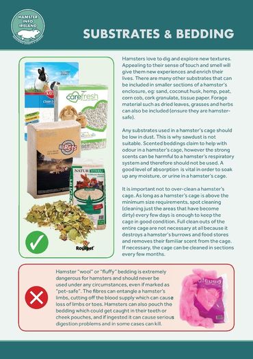 Hamster Care Guide
