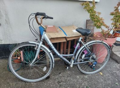 Bicycle