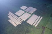 Collection of small boards