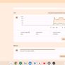 Acer Chromebook 311 (C722-K200) 4GB RAM 32GB 12H Battery Fully Working Image 10