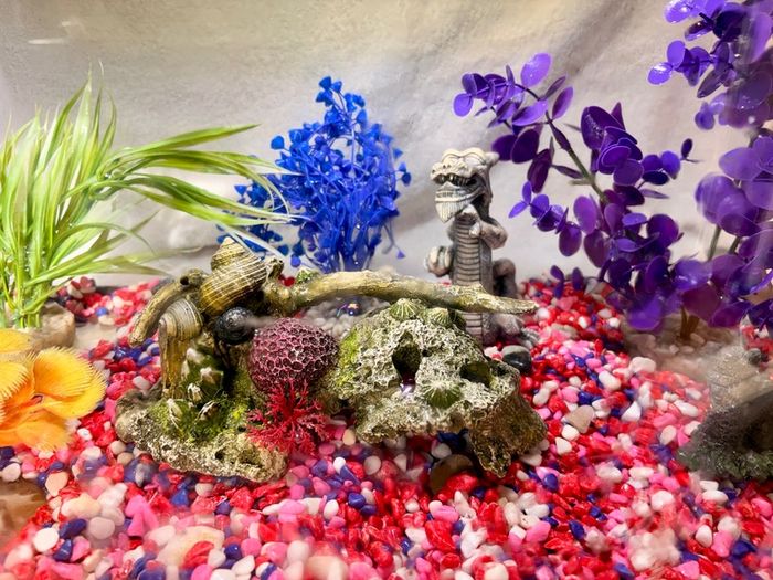 Fish Tank Aqua 60cm - Bow Front Aquarium 45L