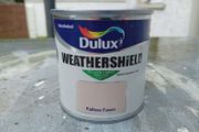 Fallow Fawn Sample Exteroir Paint 250ml