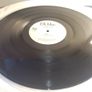 Elli Mac - Celebrate - Moonshine Records - US Import - Tall Paul Mix! TOP 90s Dublin CLASSIC! Image 6