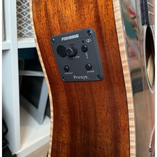 Richwood Electro Acoustic