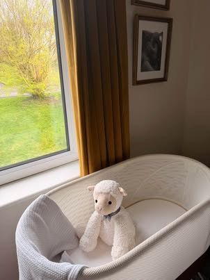 SNOO Smart Sleeper and all accessories