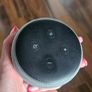 alexa Image 2