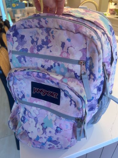 JanSport Large Backpack/Schoolbag