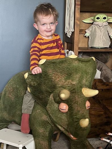 Ride on Dinosaur