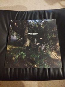 Sarah Davachi Cantus, Descant 2lp warp records imprint