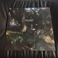 Sarah Davachi Cantus, Descant 2lp warp records imprint