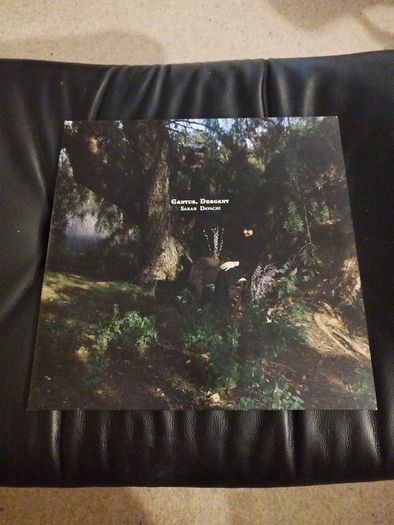 Sarah Davachi Cantus, Descant 2lp warp records imprint