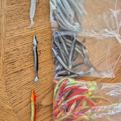 fishing lure