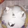 Antique Porcelain Footed Bowl A Present From Bundoran, manufactured in the Silesia region of Germany now part of Poland Image 5