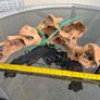 Fish tank equipment Image 5