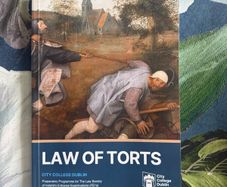 Tort Law Manual City Colleges