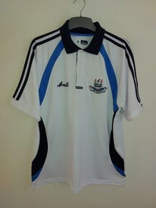 dublin gaa polo