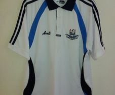 dublin gaa polo