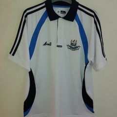 dublin gaa polo