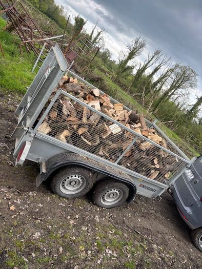 Hardwood firewood