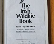 The Irish Wildlife Book. Edited By Fergus O'gorman. Illustrated By Gerrit Van Gelderen, Eamon De Buitlear And Richard Mills. First Edition Large Volume Hardback In Good Condition.