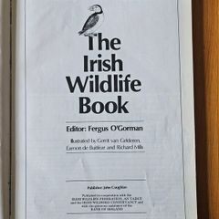The Irish Wildlife Book. Edited By Fergus O'gorman. Illustrated By Gerrit Van Gelderen, Eamon De Buitlear And Richard Mills. First Edition Large Volume Hardback In Good Condition.