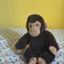 teddy Image 2