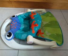 Fisher Price baby seat