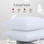 Pillow Cases Pack of 2 & 4,Ultra Soft Breathable Housewife & Oxford Cover, OEKO-TEX Certified,Nanoplush Double Brushed Quick Dry Pillowcases, Envelope Closure Wrinkle Fade Resistant,50x75 CM Image 3