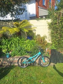 Girls Bike