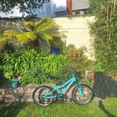 Girls Bike