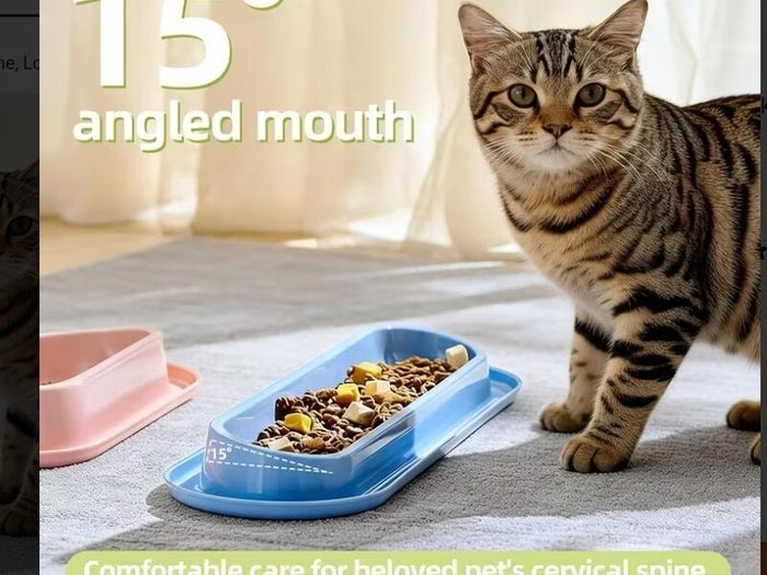 Pet bowl