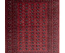 Persian Rug  - Kukoon Red Mira 160 x 230 cm