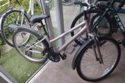 ladies bike