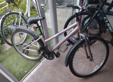 ladies bike
