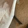 Baby Bouncer & Toy Bar Grey Great Condition Image 5
