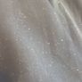 Debs Dress Dani's Closet Image 4