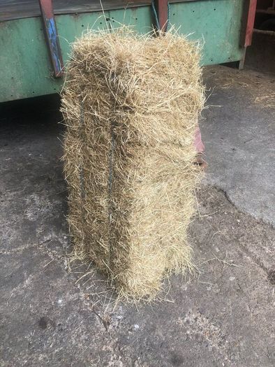 Small square baled hay for sale