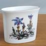 Vintage Royal Worcester Bone China Toothpick Holder Image 2