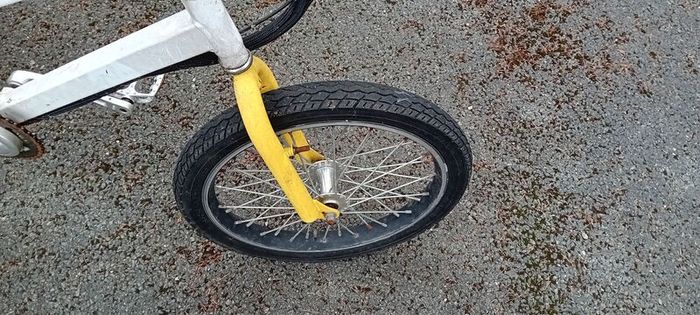 Ebike Rickshaw