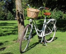 Popal Dutch Ladies City Bike 3 Speed Hub Gears Excellent Condition