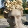 Apollo bust, v v heavy, beautiful piece. D18 Image 5