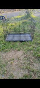 dog cage
