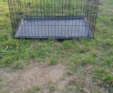 dog cage